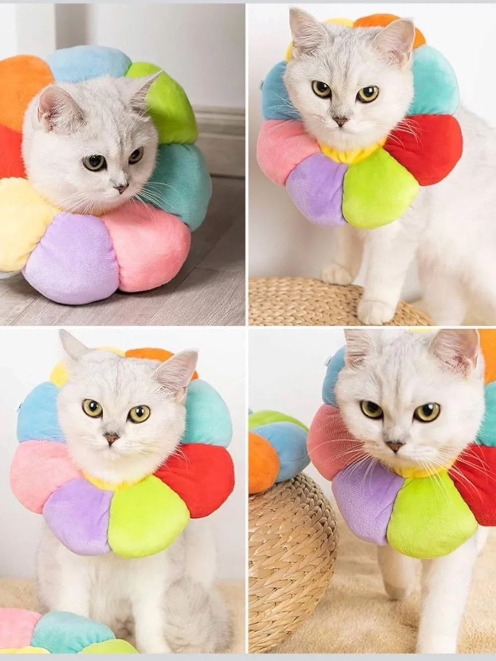 PET | flower recovery collar